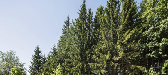  Land in Reichenau an der Rax, Austria No. 159660 15