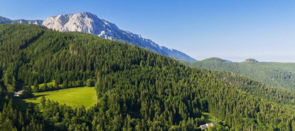  Land in Reichenau an der Rax, Austria No. 159660 13