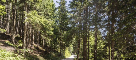  Land in Reichenau an der Rax, Austria No. 159660 9