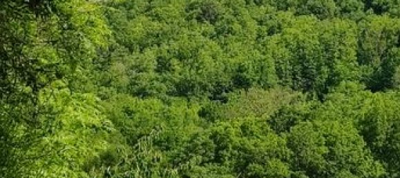 3 Schlafzimmer Haus in Haute-Garonne, France, Nr. 284900 4