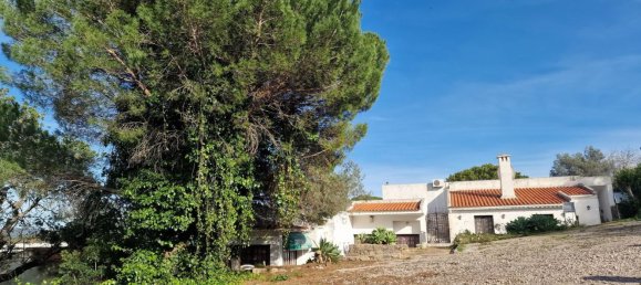 Grundstück in Sao Bras de Alportel, Portugal 4488m², Nr. 51107 9