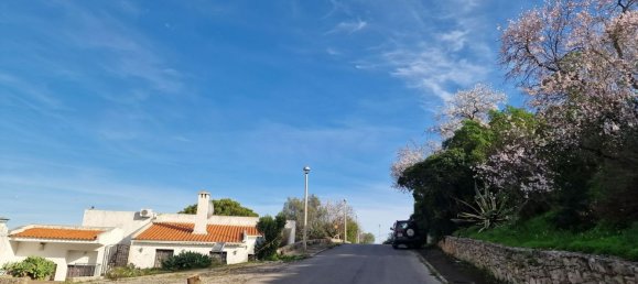 Grundstück in Sao Bras de Alportel, Portugal 4488m², Nr. 51107 4