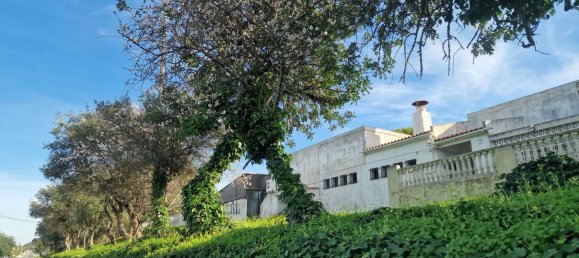 Grundstück in Sao Bras de Alportel, Portugal 4488m², Nr. 51107 3