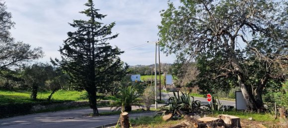 Grundstück in Sao Bras de Alportel, Portugal 4488m², Nr. 51107 5