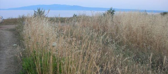 Hotel in Chalkidiki, Greece 6000m², Nr. 7392 4