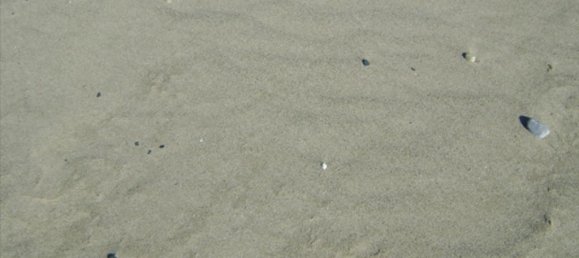 Hotel in Chalkidiki, Greece 6000m², Nr. 7392 7