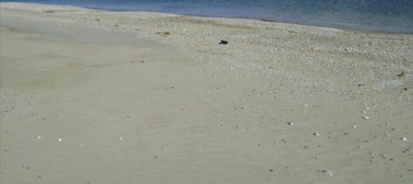 Hotel in Chalkidiki, Greece 6000m², Nr. 7392 5