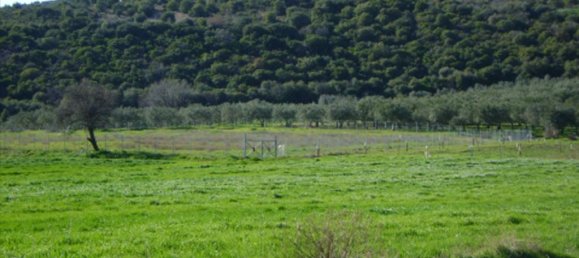 Hotel in Chalkidiki, Greece 6000m², Nr. 7392 3