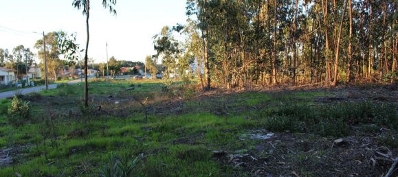 Terreno en Arazede, Portugal 5604 m² No. 92012 7