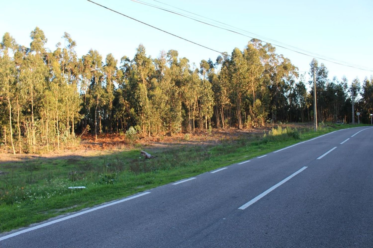 Terreno en Arazede, Portugal 5604 m² No. 92012