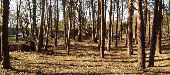 Земельный участок в Тельтов-Флеминг, Германия № 102480 5