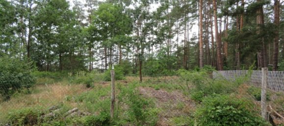 698m² Land in Dahme-Spreewald, Germany No. 87399 6