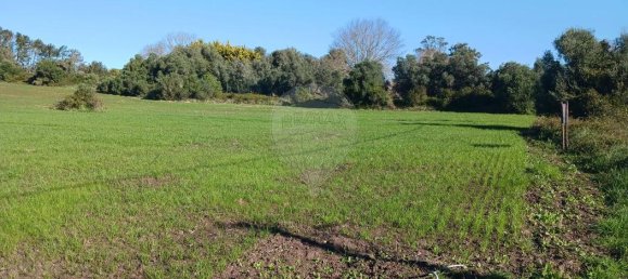 9440m² Land in Sintra, Portugal No. 68914 4