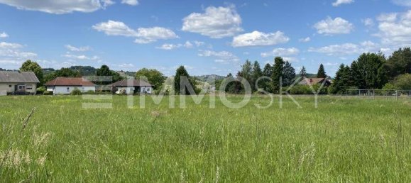 11437m² Land in Stegersbach, Austria No. 222693 3
