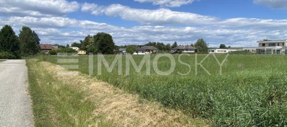 11437m² Land in Stegersbach, Austria No. 222693 2