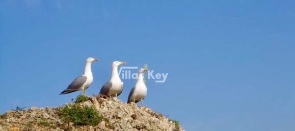  قطعة أرض في Lagos, Portugal 244متر مربع رقم 55349 10