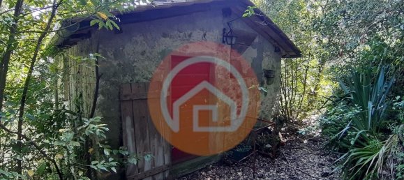 3 rooms House in Gallicano, Italy No. 161277 5