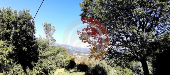 3 rooms House in Gallicano, Italy No. 161277 7