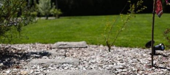 8غرفة منزل في Tirschenreuth, Germany رقم 271993 8