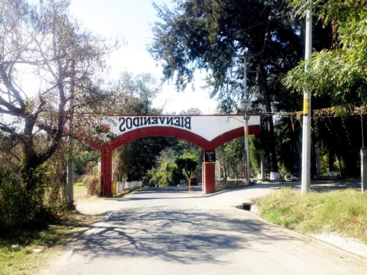  Land in Tonatico, Mexico No. 204633