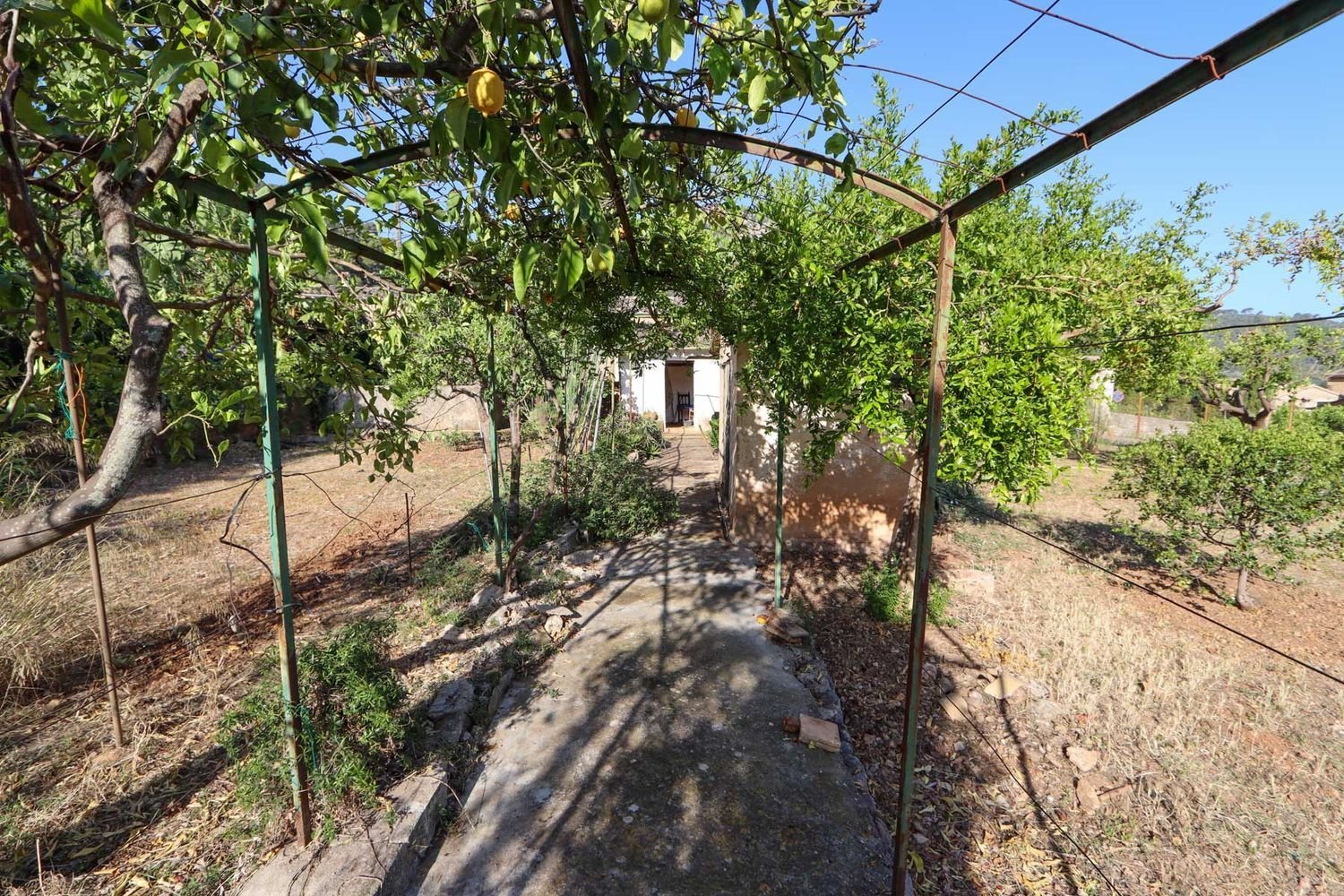 Grundstück in Soller, Spain 443m², Nr. 165017