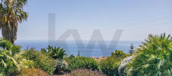 3 Schlafzimmer Villa in Calheta, Portugal, Nr. 256596 46