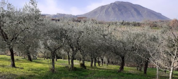 7 rooms House in Torrecuso, Italy No. 256819 13