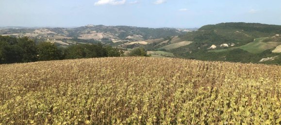 Casa de 10 divisões em Force, Italy N.º 294386 15