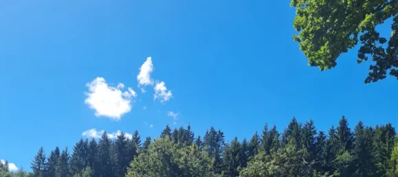 3 غرف نوم منزل في Freyung-Grafenau, Germany رقم 353371 5