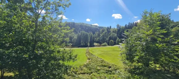 3 غرف نوم منزل في Freyung-Grafenau, Germany رقم 353371 4