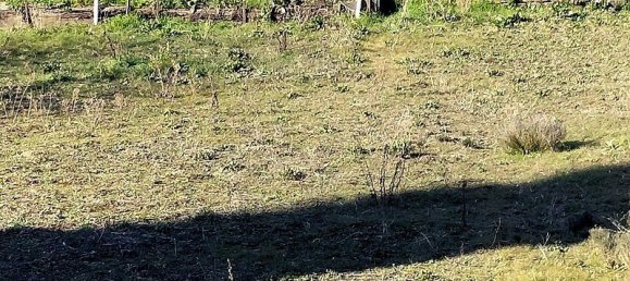 Adosado de 3 dormitorios en Mayenne, France No. 357607 10