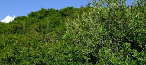 Grundstück in Sintra, Portugal, Nr. 128912 14