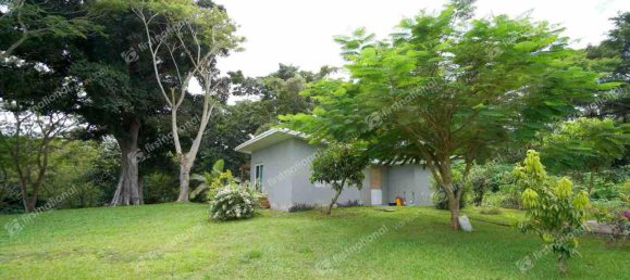 6 Schlafzimmer Haus in Port-Vila, Vanuatu, Nr. 51 13