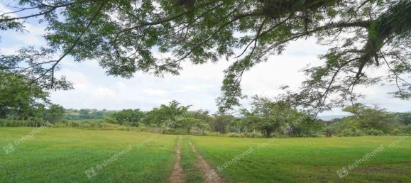 6 Schlafzimmer Haus in Port-Vila, Vanuatu, Nr. 51 8