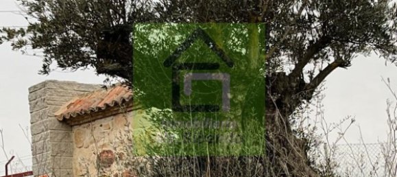 Terreno en Morales del Vino, Spain 20589 m² No. 73133 8