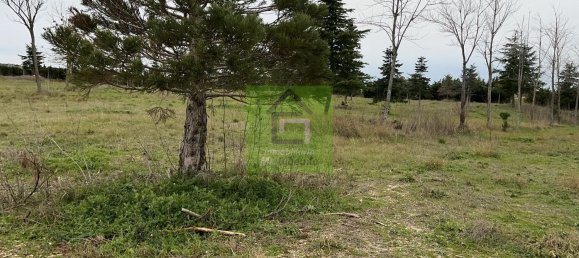 Terreno en Morales del Vino, Spain 20589 m² No. 73133 21