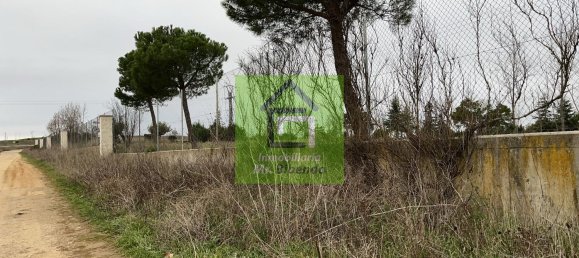 Terreno en Morales del Vino, Spain 20589 m² No. 73133 3