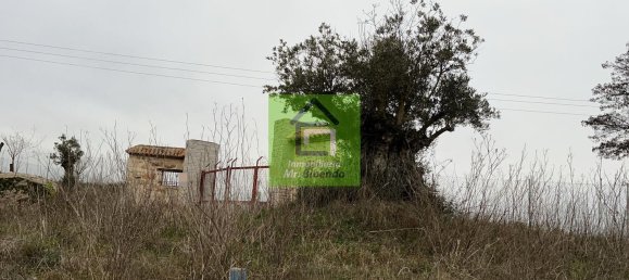 Terreno en Morales del Vino, Spain 20589 m² No. 73133 9