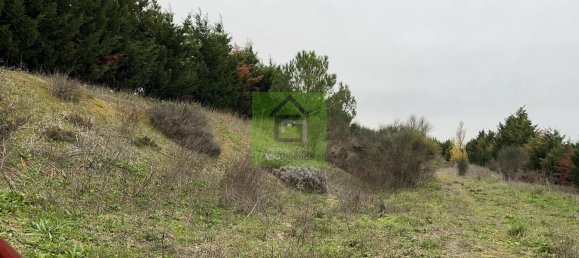 Terreno en Morales del Vino, Spain 20589 m² No. 73133 25