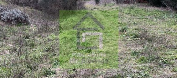 Terreno en Morales del Vino, Spain 20589 m² No. 73133 24