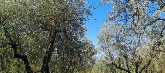 Studio à Città della Pieve, Italy No. 115584 17