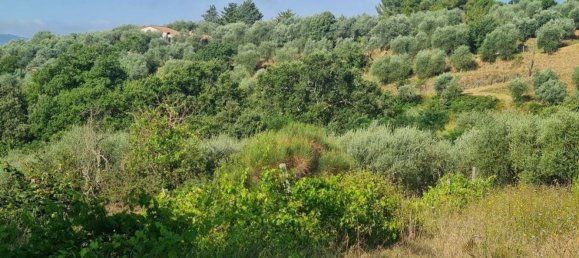 Studio à Città della Pieve, Italy No. 115584 15