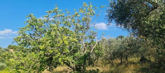 Studio à Città della Pieve, Italy No. 115584 14