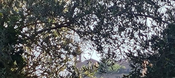 Studio à Città della Pieve, Italy No. 115584 11