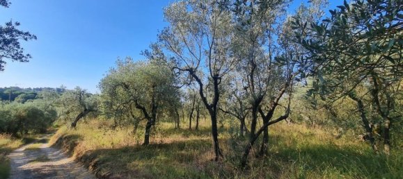 Studio à Città della Pieve, Italy No. 115584 18