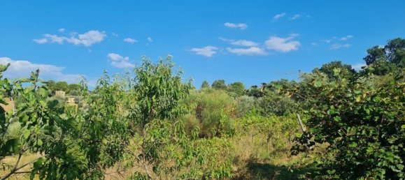 Studio à Città della Pieve, Italy No. 115584 6