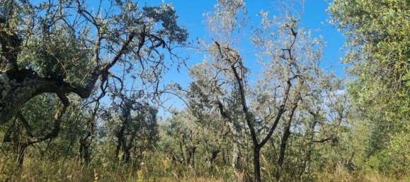 Studio à Città della Pieve, Italy No. 115584 16