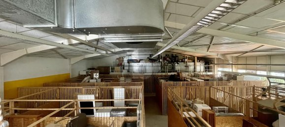 Propiedad comercial de 4 habitaciónes en Freiburg im Breisgau, Germany No. 104830 3