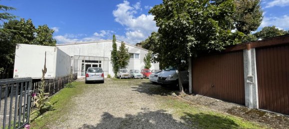 Propiedad comercial de 4 habitaciónes en Freiburg im Breisgau, Germany No. 104830 2