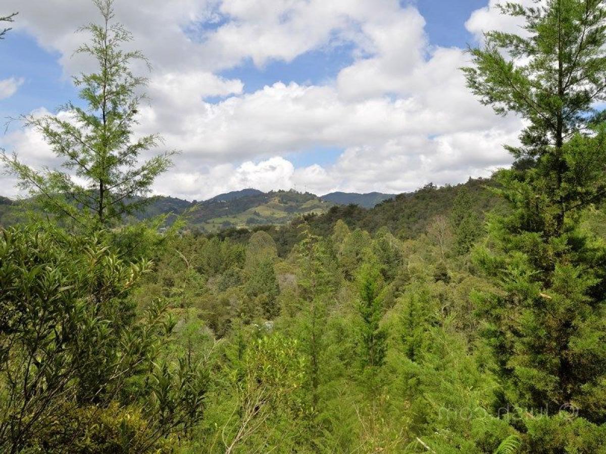 Terrain à Antioquia, Colombia No. 381